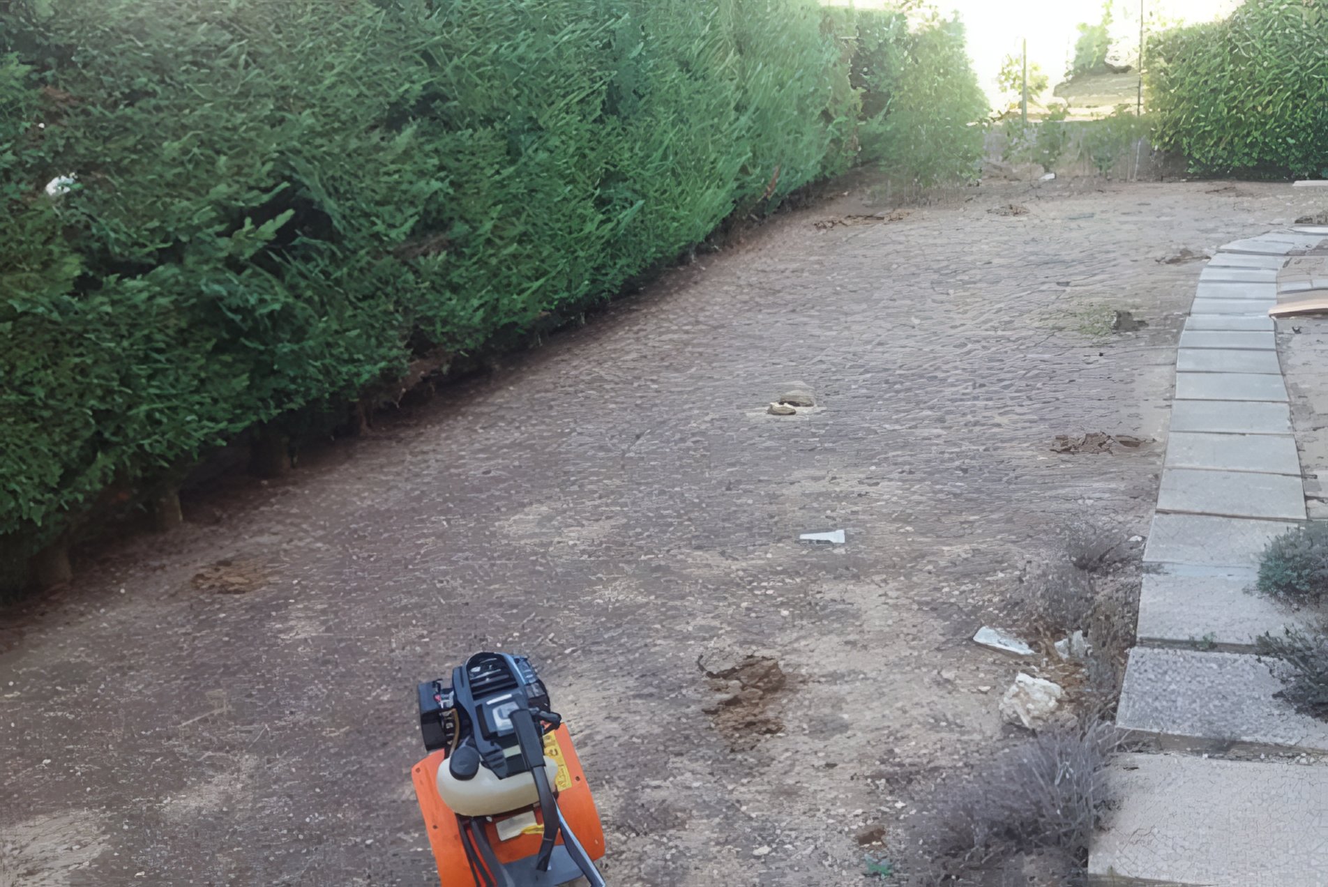 Jardin en préparation, terre nue travaillée, motoculteur au premier plan, haie de thuyas à gauche