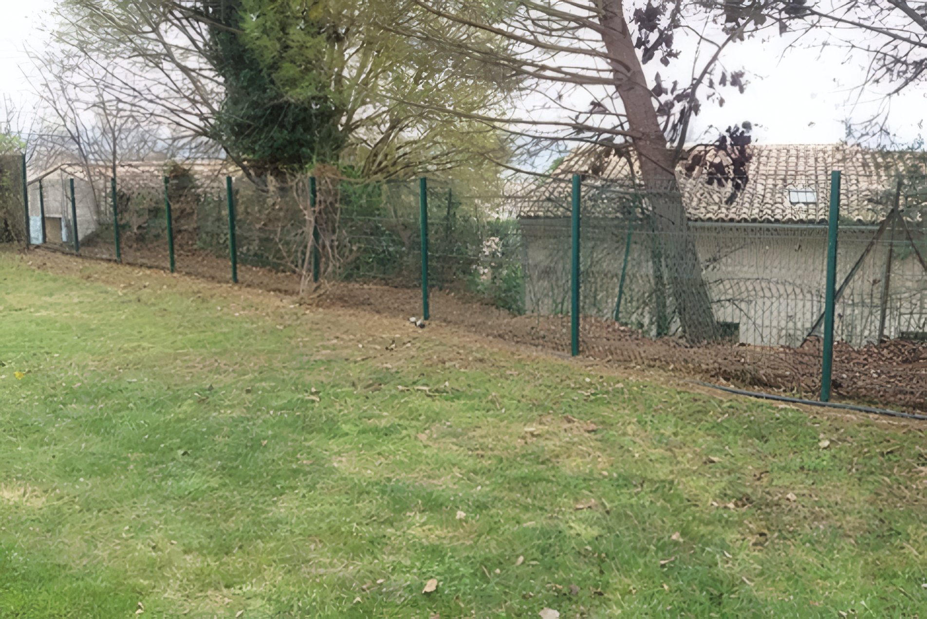 Terrain herbeux avec clôture grillagée verte fraîchement posée, arbres en arrière-plan en saison hivernale