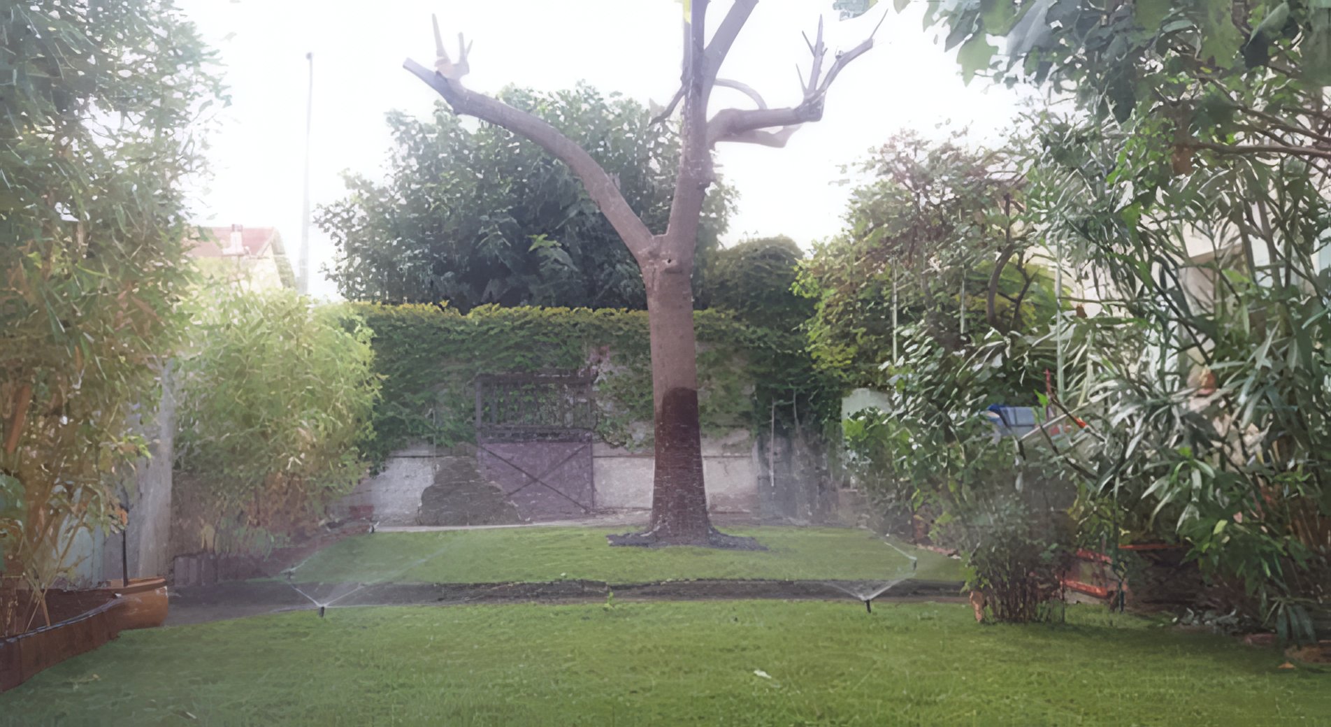 Jardin en cours d'arrosage par des asperseurs rotatifs automatiques